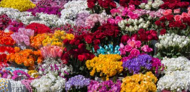 Çiçekçilere vazo olarak taze çiçekler konur.