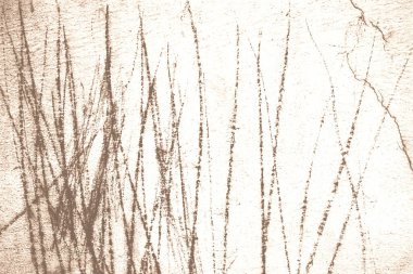 Soyut arkaplanın duvar yüzeyi boyalı dokusu