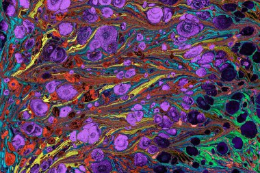 Ebru mermer el yapımı sanat, geleneksel Ebru tekniği. mermer sıvı mürekkep sanatının soyut arkaplanı