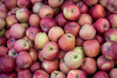 Pazar yerinde kırmızı elmalar sergileniyor