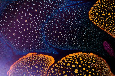 Su tabanında yağ kabarcıkları oluşmuş.