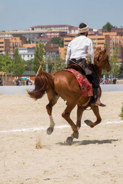 Türk erkeği ve binicisi etnik kıyafet örnekleri