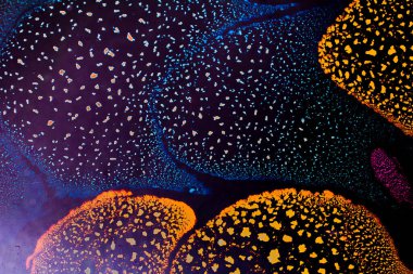 Su tabanında yağ kabarcıkları oluşmuş.