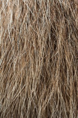 Arka plan dokusu olarak dekoratif hayvan kürkü