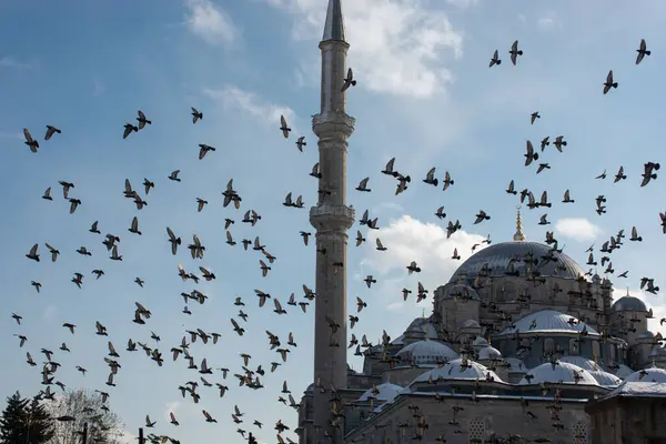 Cami minarelerinin etrafında uçan güvercinler.