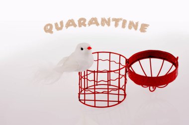 Coronavirus salgını sağlık tavsiyesi. Evde kal..