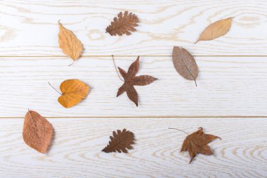 Kuru sonbahar yaprakları bir ahşap panel doku üzerinde yer