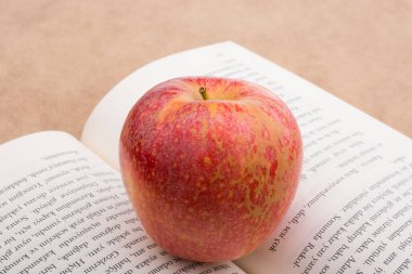 Kırmızı elmayla okula dönüş teması