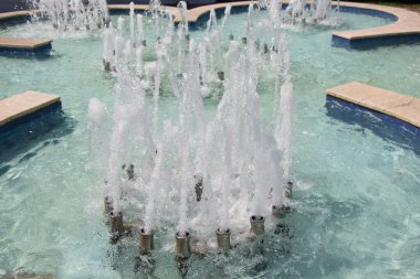 Çeşmeler parktaki bir havuzda köpüklü su fışkırtıyor.