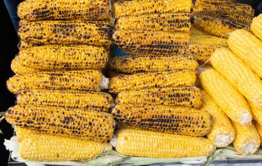 Çekirdeklerin üzerinde ızgara mısır soyulmuş.