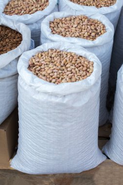 Kabuklu fıstıklar çuvallarda yemeye hazır.