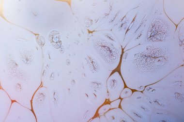 Soyut boyalı yaratıcı ebru sanat arka planı. Mermer desen desenleri