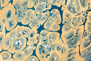 Ebru mermer el yapımı sanat, geleneksel Ebru tekniği. mermer sıvı mürekkep sanatının soyut arkaplanı