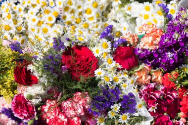 Çiçekler çiçek arkaplan dokusunu oluşturur