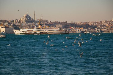 Şehir silüeti. Seyahat hindi arka planı. Kentsel panoramik görünüm