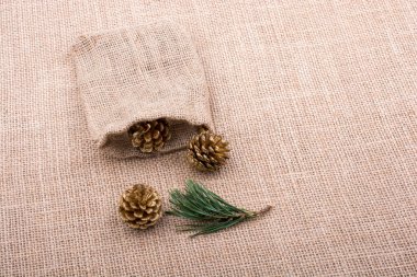 Çam kozalakları çuvala tuval arka plan üzerinde dışarı