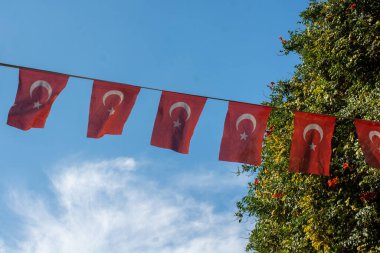 Gökyüzünde beyaz yıldız ve ay olan Türk ulusal bayrakları