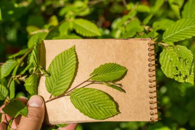 Eline bir defter sayfası bırakır