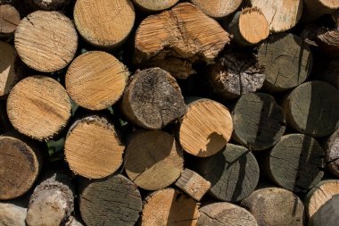 arka planını woodpile yığılmış yakacak odun