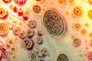 Su tabanında hava kabarcıkları oluşur.