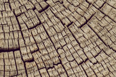 Arkaplan olarak doğal desenli ahşap doku