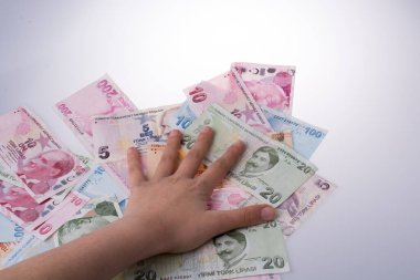 Turksh Lirası banknotlar beyaz arka plan üzerinde tutan el
