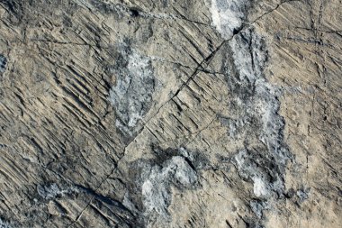 Arka plan dokusu olarak doğal kaya veya taş yüzeyi