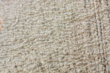 Ağaç kabuğu dokusunu ahşap arka plan olarak kapat