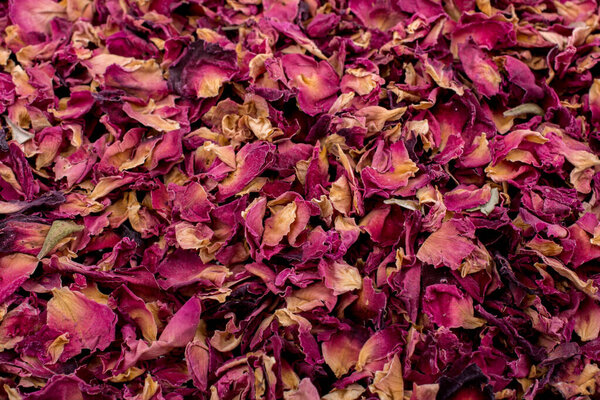 Рассеянные свежие весенние лепестки роз на земле
