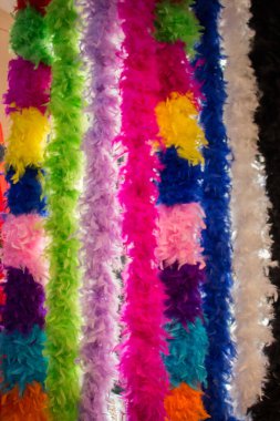 Dekoratif amaçlar için güzel kuş tüyleri