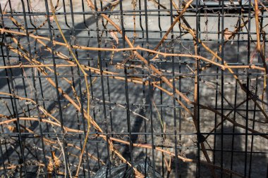 Arkaplan ve arkaplan doku ayrıntıları