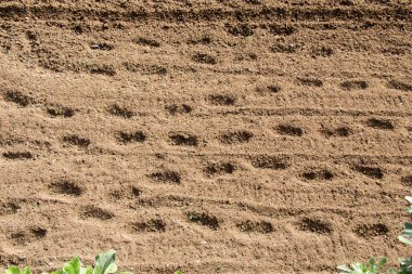İlkbaharda tarlaya sürülmüş ve izleri var.