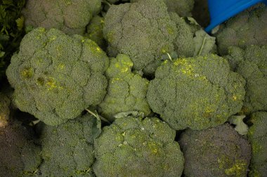 Fresh Broccoli in a pile at supermarket. Fresh and ripe broccoli background. clipart