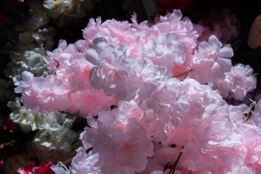 Renkli suni çiçeklerden yapılmış çiçek sanatı