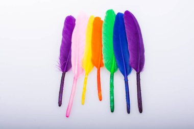 Renkli kuş tüylerinin doku arkaplanı olarak stüdyo fotoğrafı