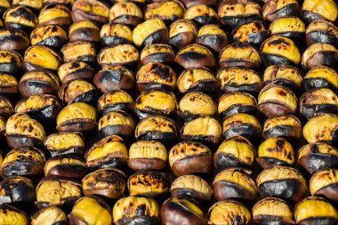 Çiğ tatlı kestane satılık.