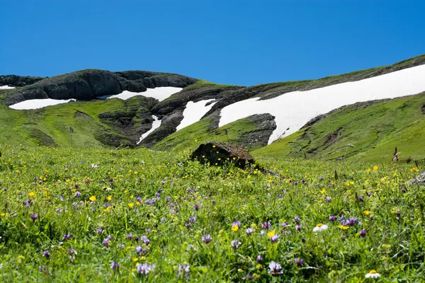 Buzul Artvin dağlarında Hills ile güzel manzara