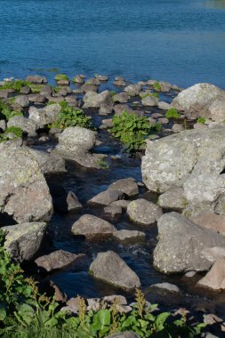 Türkiye 'nin Artvin ilinde Highland Gölü yeşil doğal arka planda