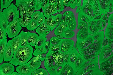 Ebru mermer el yapımı sanat, geleneksel Ebru tekniği. mermer sıvı mürekkep sanatının soyut arkaplanı