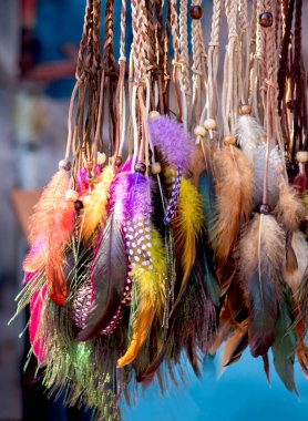 Dekoratif amaçlar için güzel kuş tüyleri