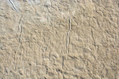 Yeni dökülmüş beton yüzeydeki desenler