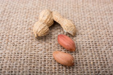Kırık açık fıstık kabuğu keten tuval arka plan üzerinde