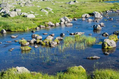 Türkiye 'nin Artvin ilinde Highland Gölü yeşil doğal arka planda