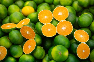 Taze toplanmış yeşil mandalina mandalinalar, mandalinalar, Citrus meyvesi arka planı.