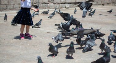 Sevimli güvercin kuşlarının arasında küçük bir çocuk Kentsel bir çevrede besleniyor