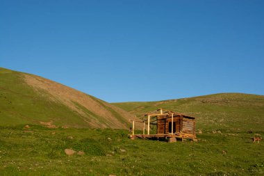 Barınak için küçük bir kulübe.