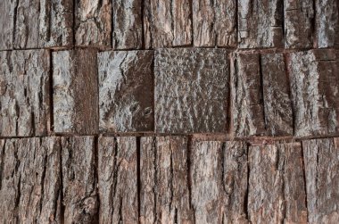 Arkaplan ve arkaplan doku ayrıntıları