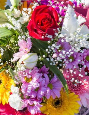 Güzel renkli doğal bahar çiçekleri bir doğa arka planıdır.