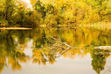 Sonbahar zaman güzel gölde Ukrayna