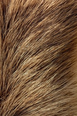 Arka plan dokusu olarak dekoratif hayvan kürkü